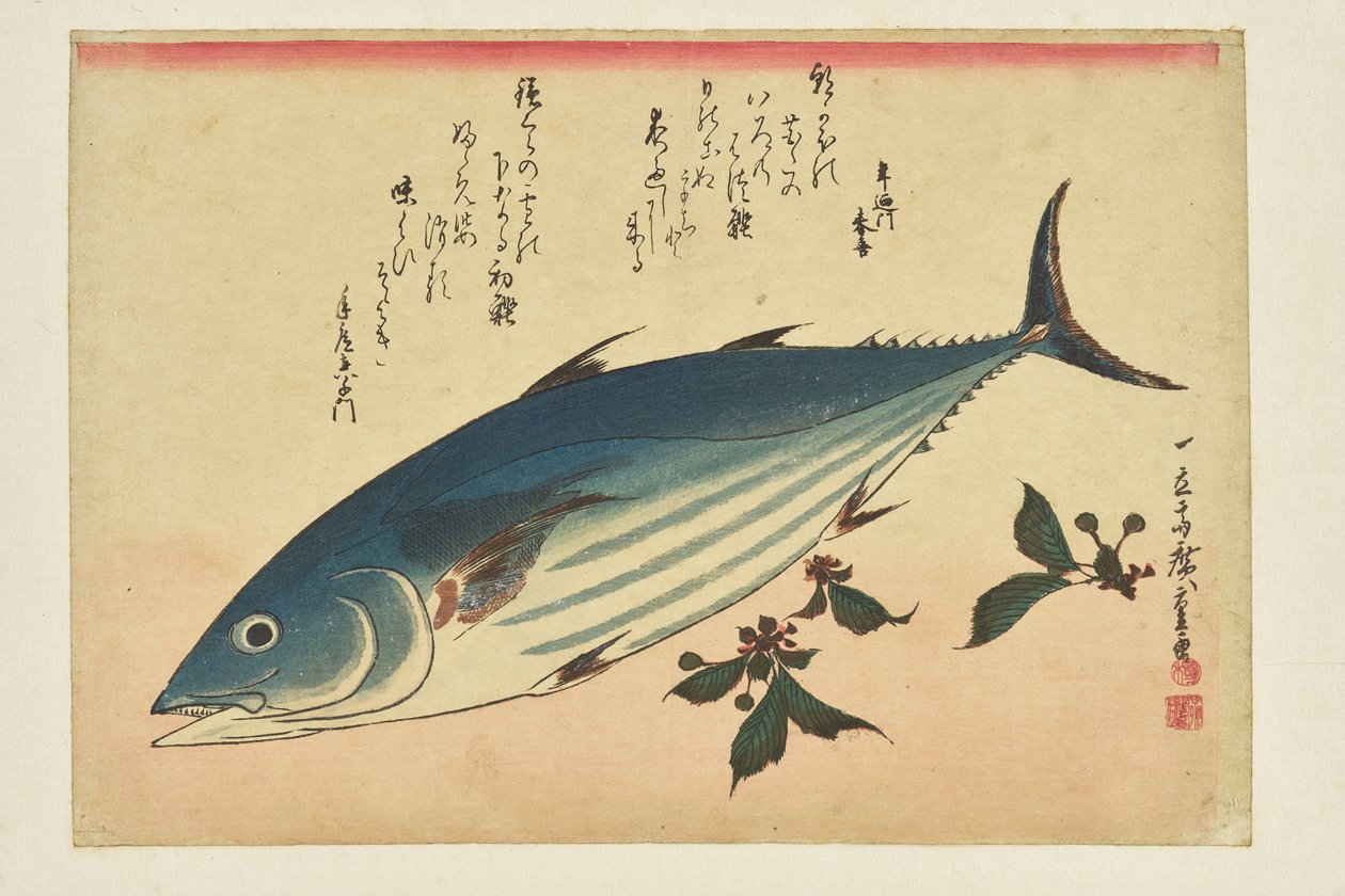 Fish Print: Bonito and Cherries from the Series 