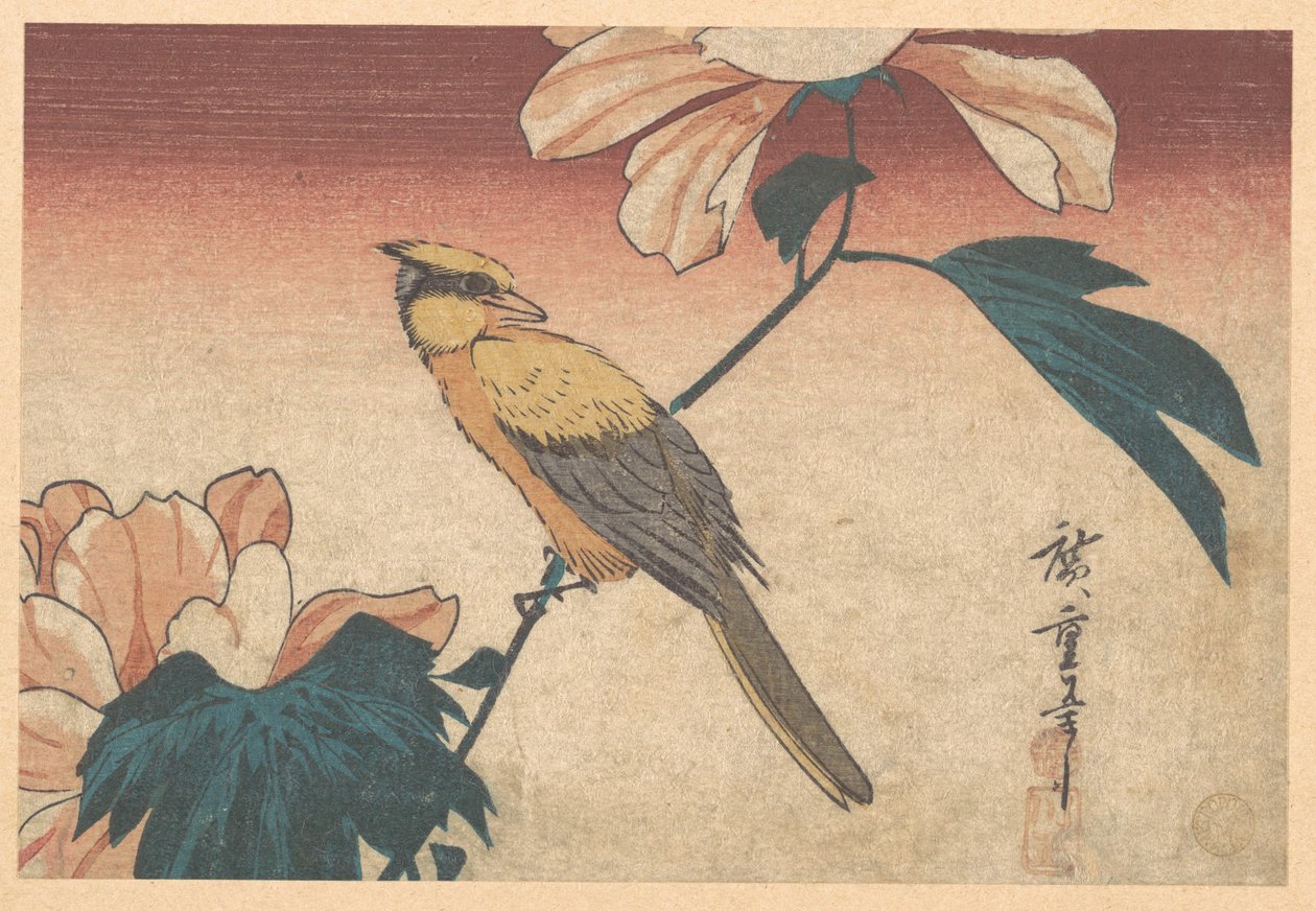 Hibiscus Mutabilis and Jay by Utagawa Hiroshige