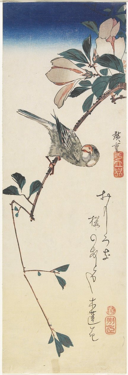 Java Sparrow and Magnolia by Utagawa Hiroshige