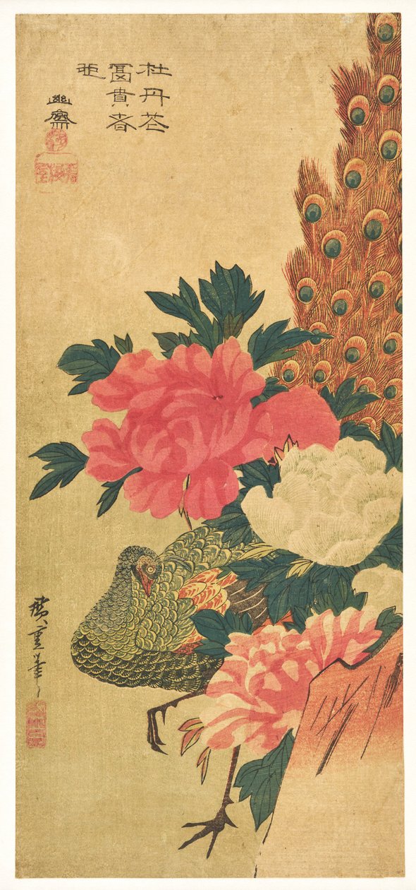 Peonies and Peacock by Utagawa Hiroshige