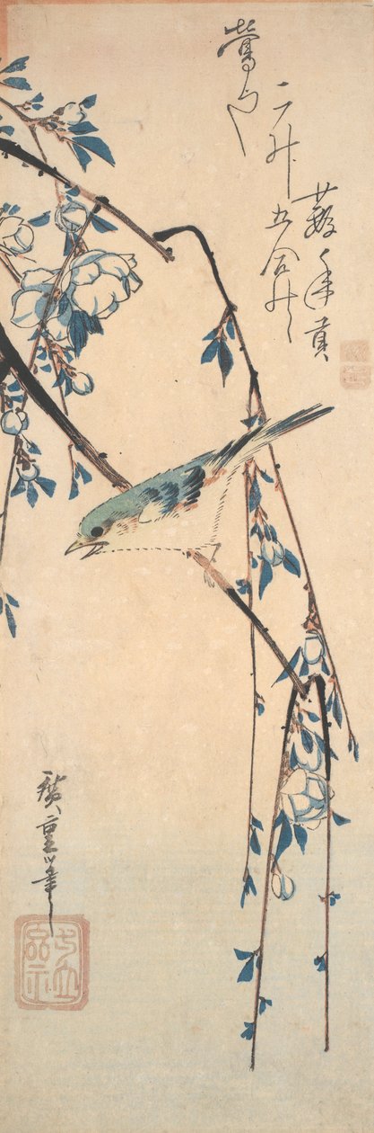 Red-Flanked Bluetail on a Cherry Branch by Utagawa Hiroshige