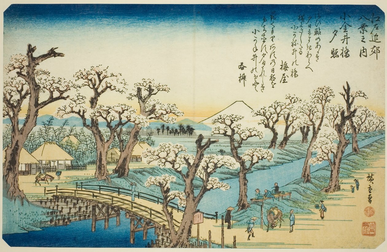 Sunset Glow at Koganei Bridge, from the series 