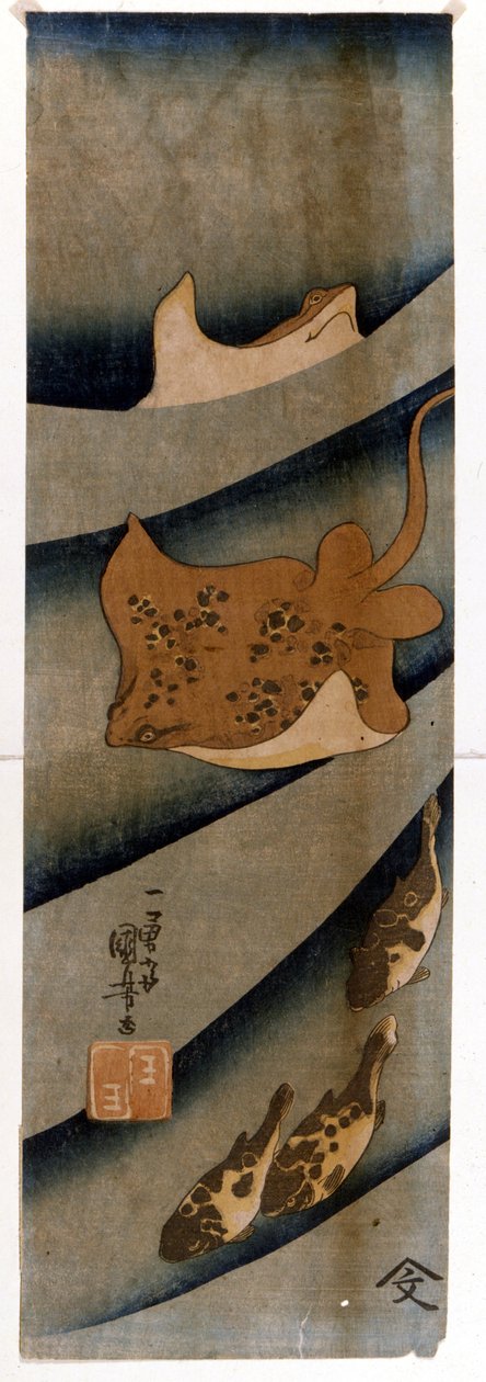 Prints by Utagawa Kuniyoshi (1797-1861) depicting the fish. by Utagawa Kuniyoshi