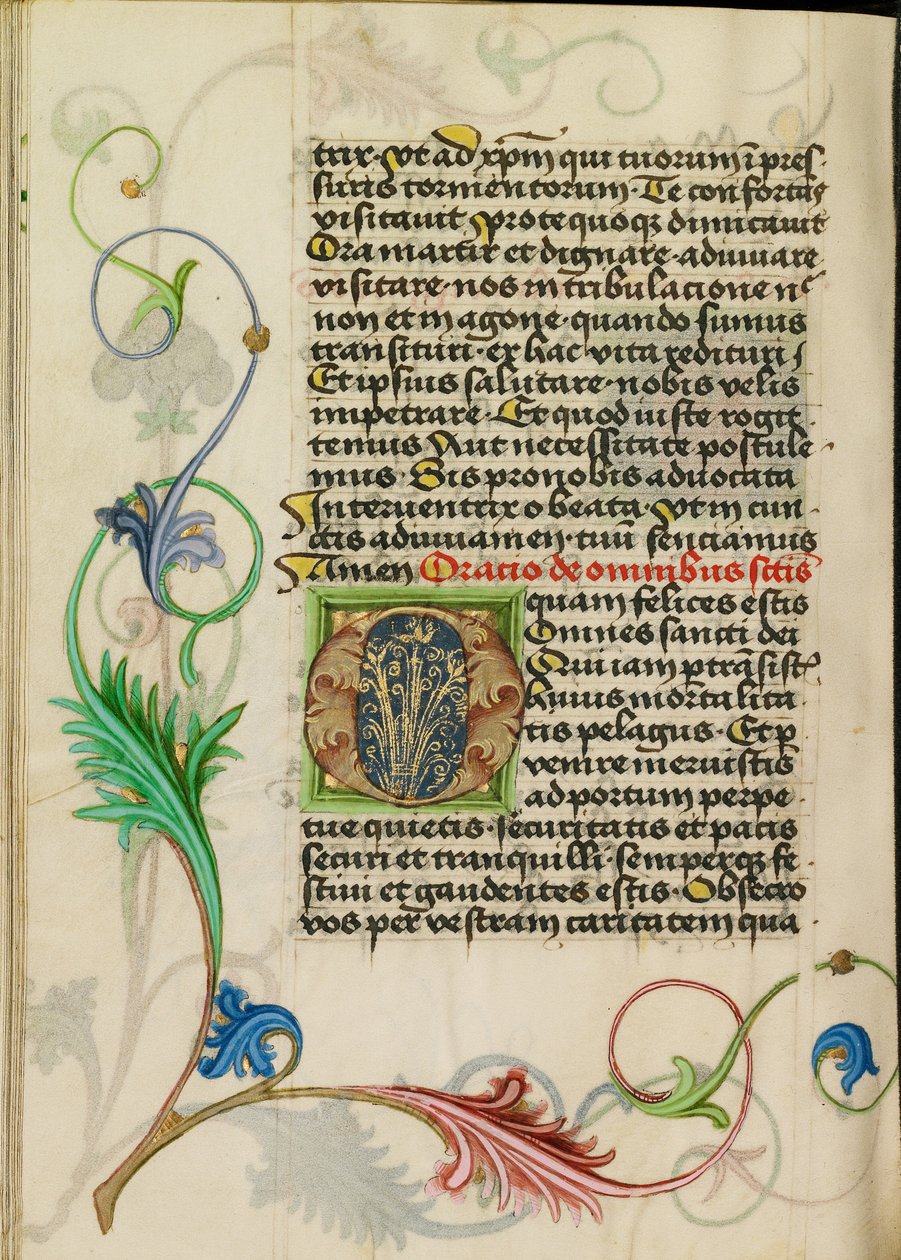 Decorated Initial O by Valentine Noh