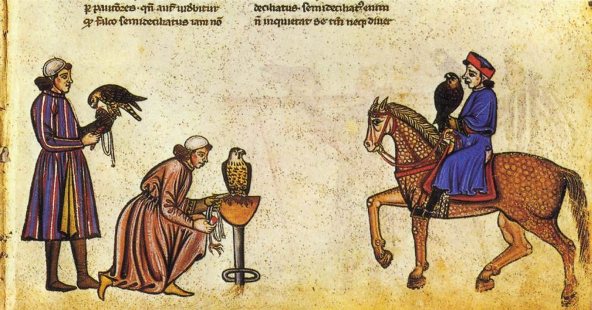 Falconry Book of Frederick II by Vatican Library