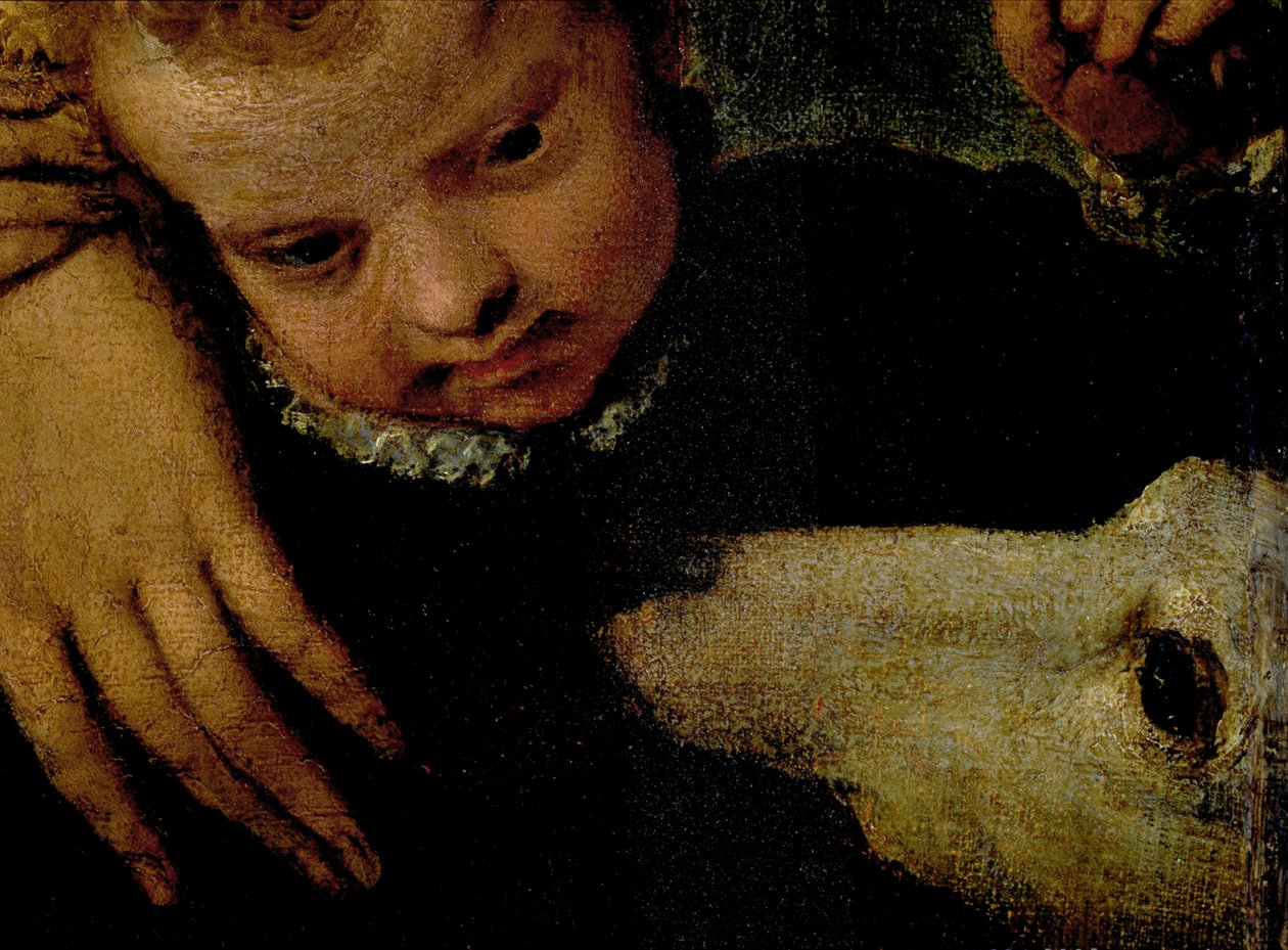 Portrait of a Woman with a Child and a Dog (detail) by Paolo Veronese