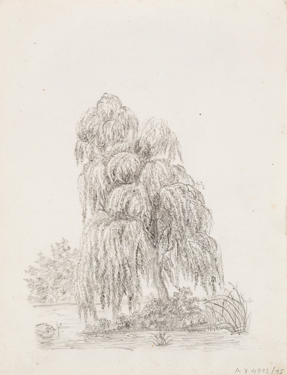 Broad-Leaved Tree by Victoria Åberg