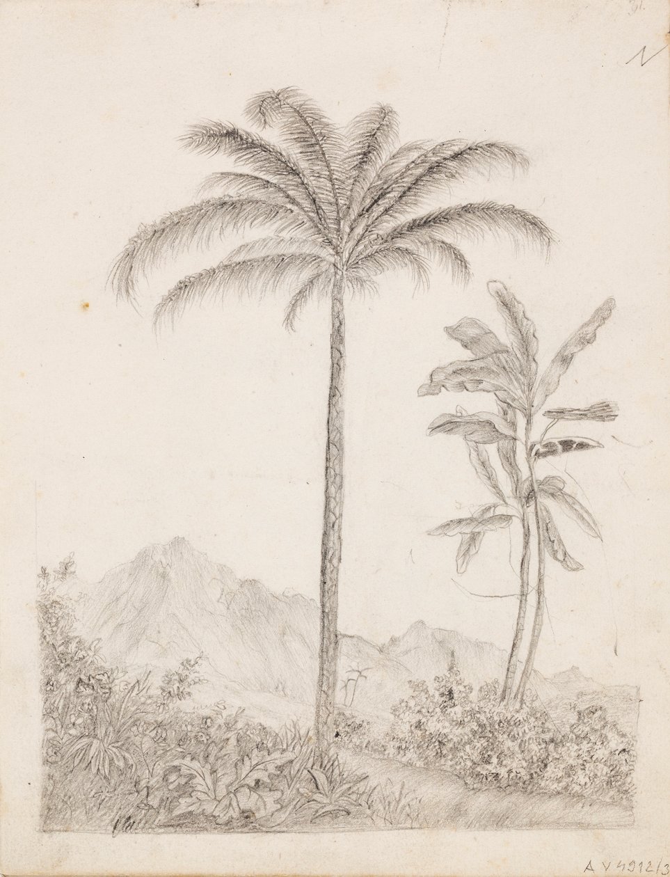 Palm Trees by Victoria Åberg