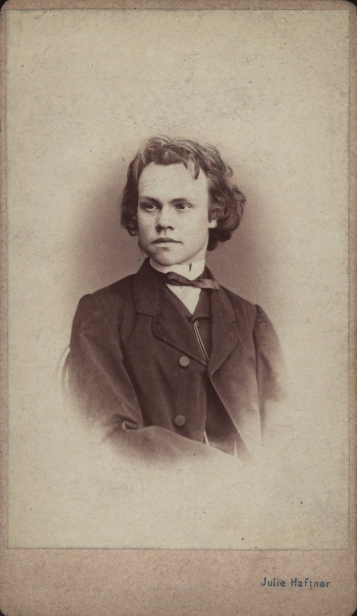 Portrait of the composer Anton Rubinstein by Vienna . Photo studio Julie Haftner