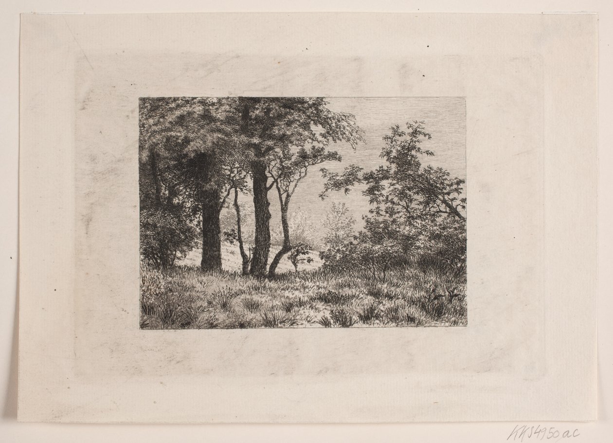 Oak Trees at the Edge of a Forest by Vilhelm Kyhn