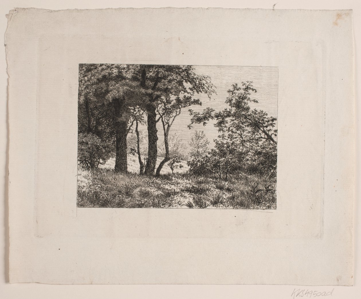 Oak Trees at the Edge of a Forest by Vilhelm Kyhn