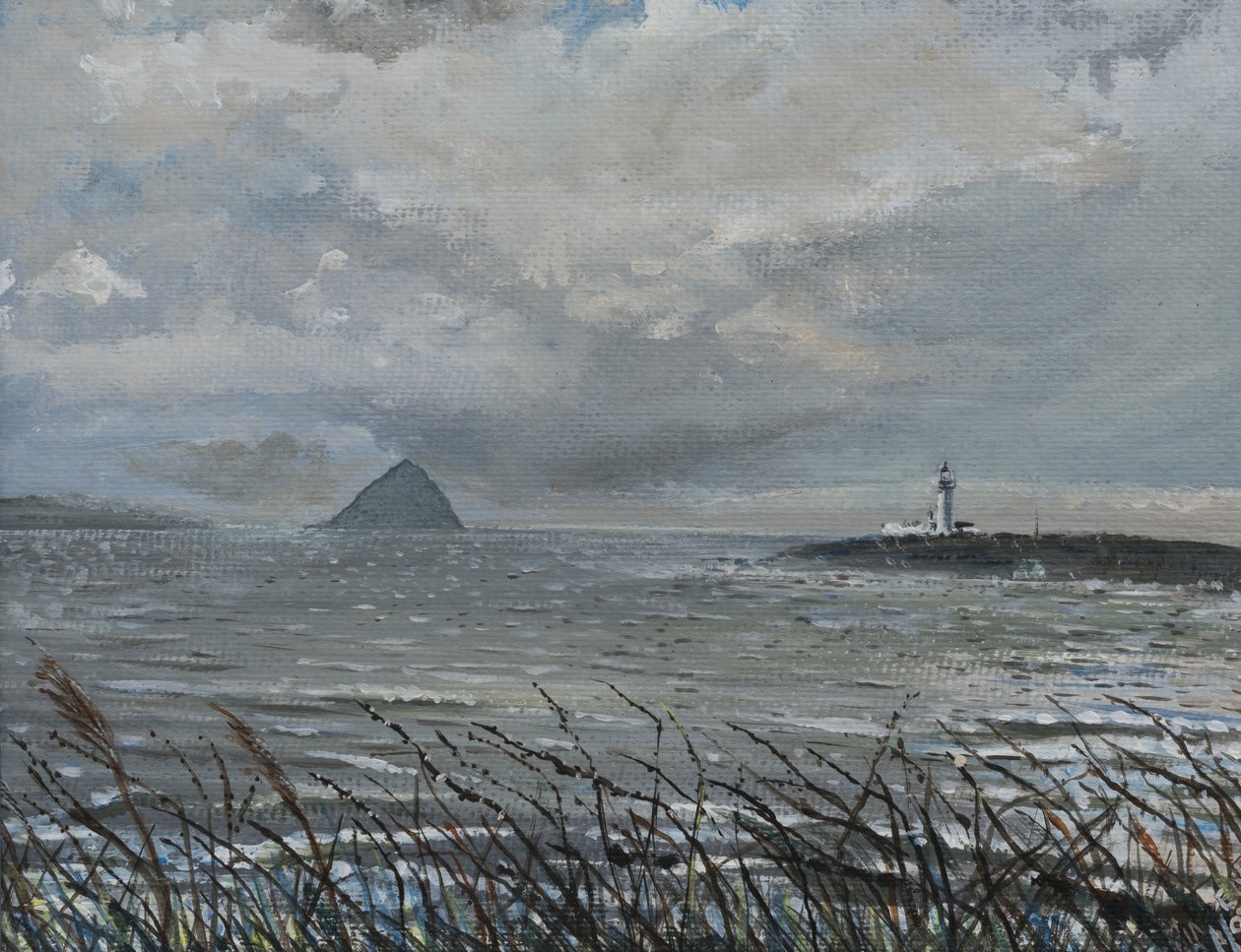 Ailsa Craig from Arran, 2007 by Vincent Alexander Booth