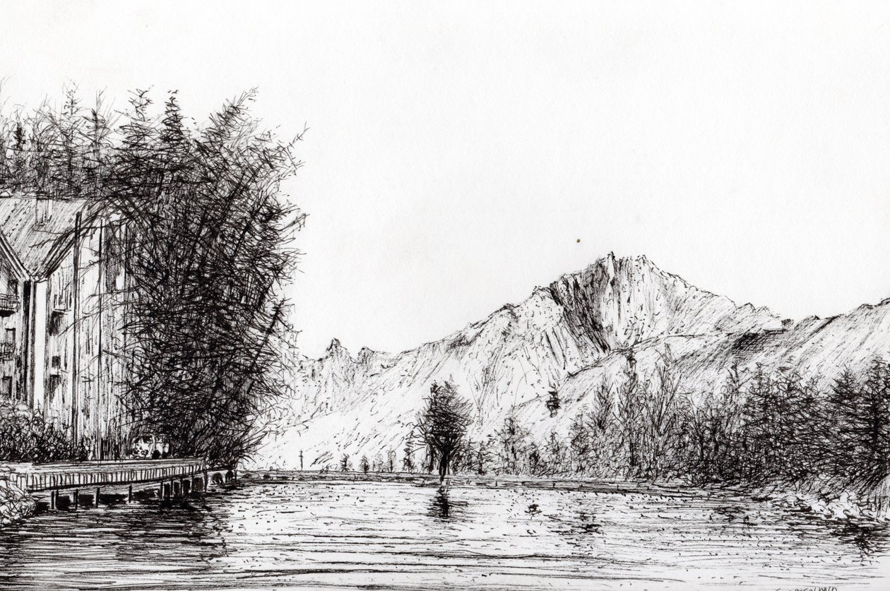 Crans Switzerland, 2009 by Vincent Alexander Booth