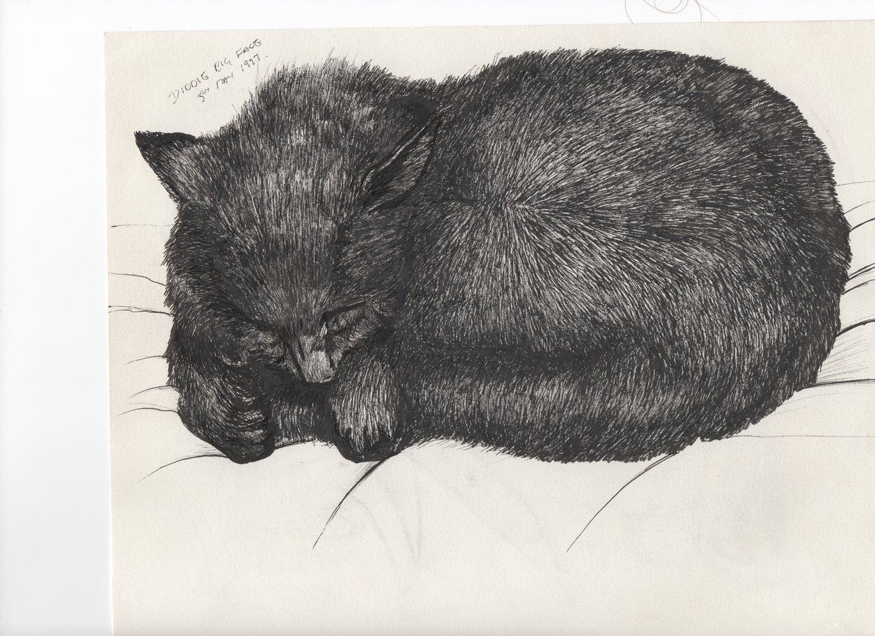 Diddy big face, 1997 by Vincent Alexander Booth
