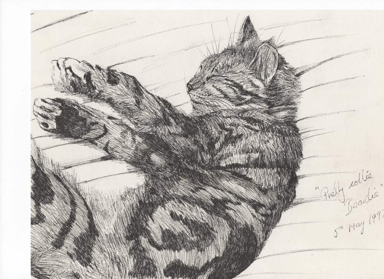 Pretty collie beastie, 1997 by Vincent Alexander Booth