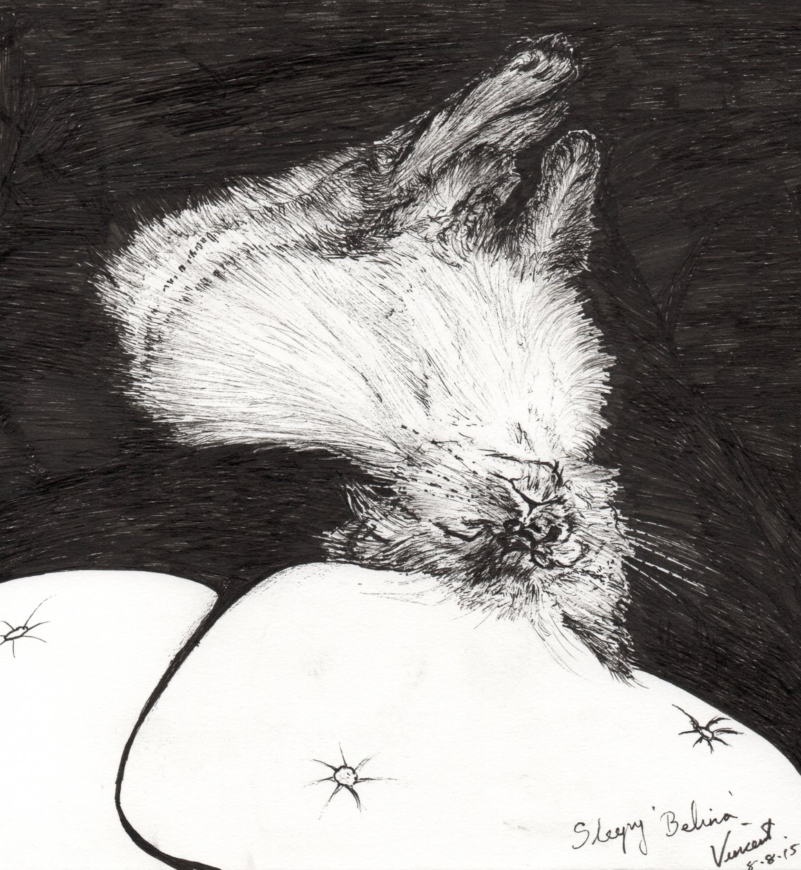 Sleepy Belina by Vincent Alexander Booth
