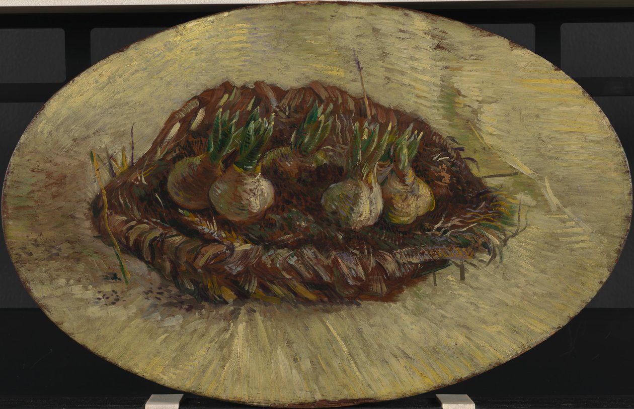 Basket of Hyacinth Bulbs by Vincent van Gogh