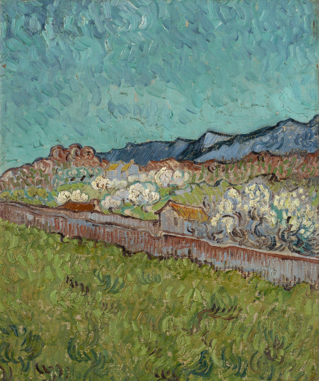 View of the Alpilles by Vincent van Gogh