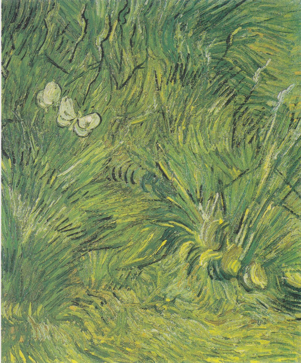 Two White Butterflies by Vincent van Gogh