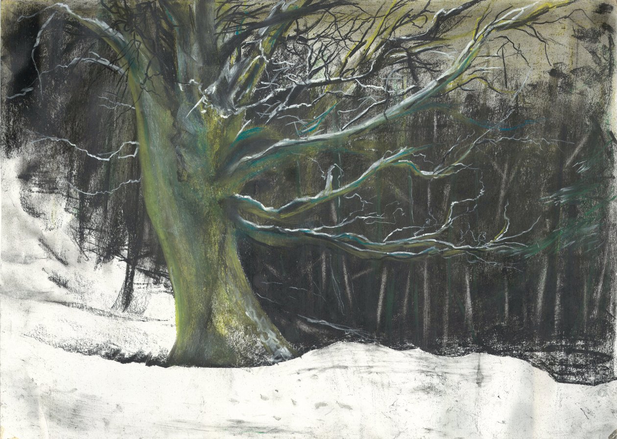 Tree in winter snow at Osmotherley woods by Vincent Alexander Booth