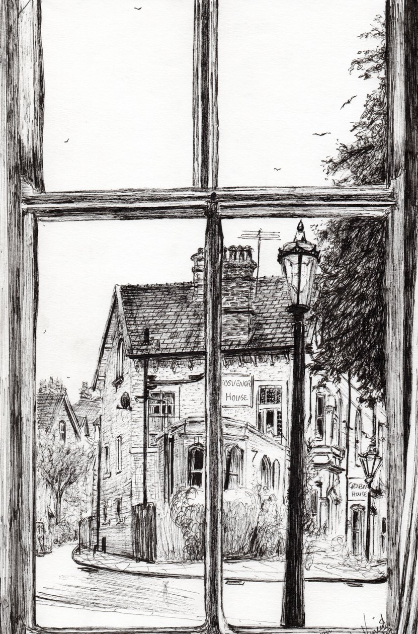 View from Old Hall Hotel Buxton, 2009 by Vincent Alexander Booth