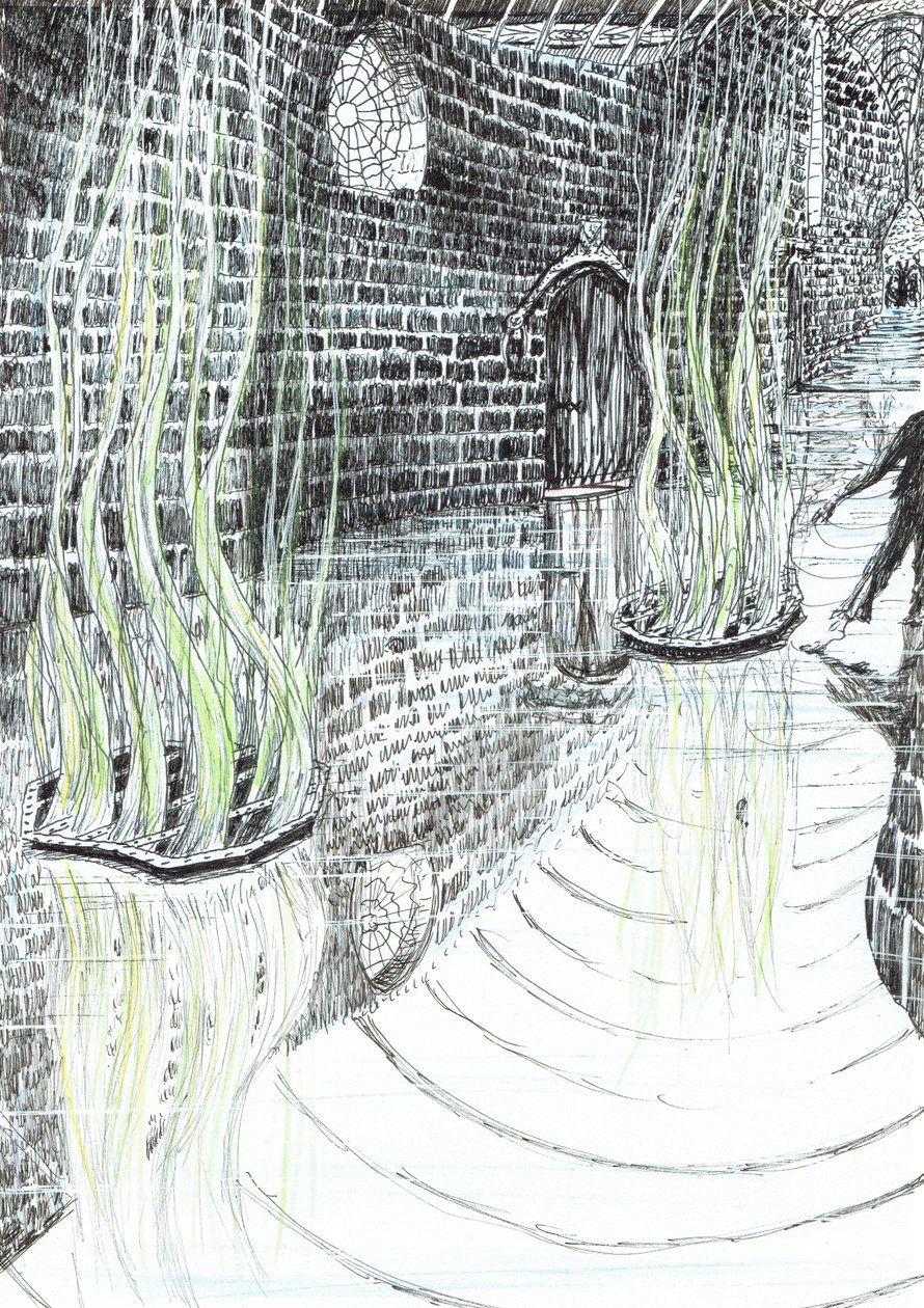 page29, The Castle in the Forest of Findhorn, 2006 by Vincent Alexander Booth