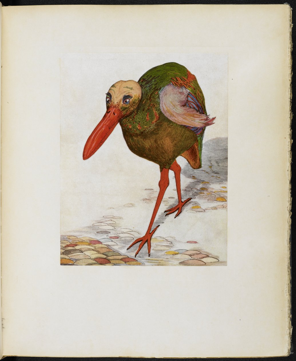 Great Skull-Headed Stone Trot, from 