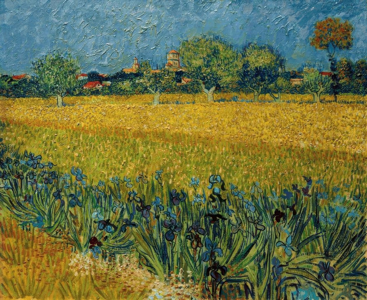 View of Arles with Irises in the Foreground by Vincent van Gogh