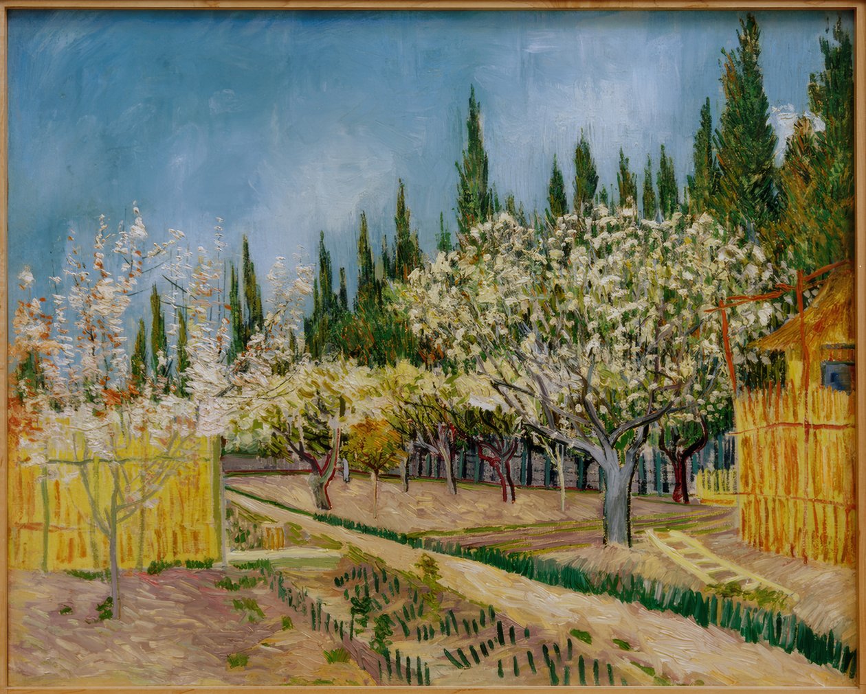 Blooming Orchard, Surrounded by Cypresses by Vincent van Gogh