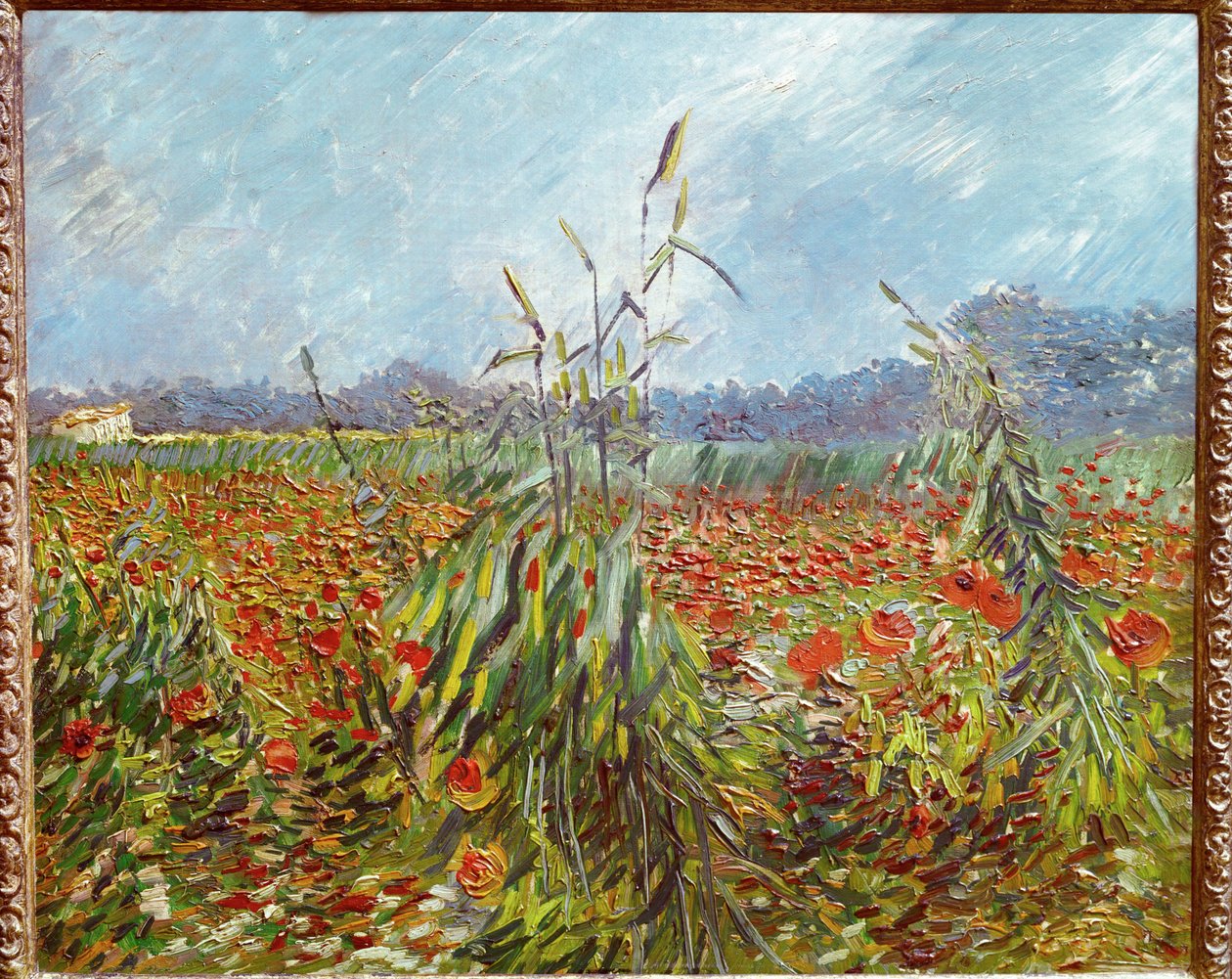 Cornfields and Poppies by Vincent van Gogh