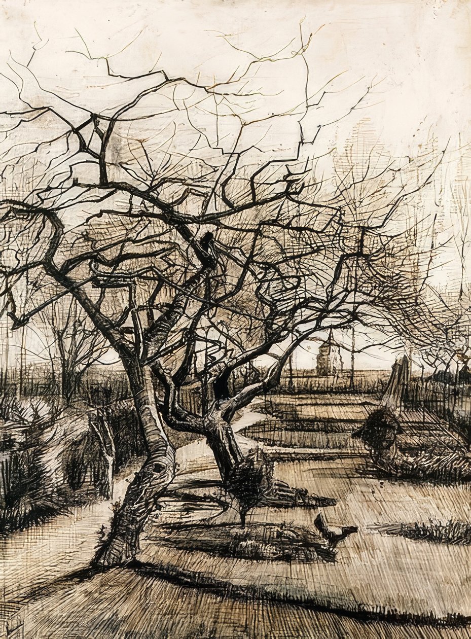 The Garden of the Parsonage in Nuenen. 1884 by Vincent van Gogh