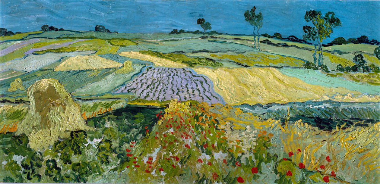 Fields near Auvers by Vincent van Gogh