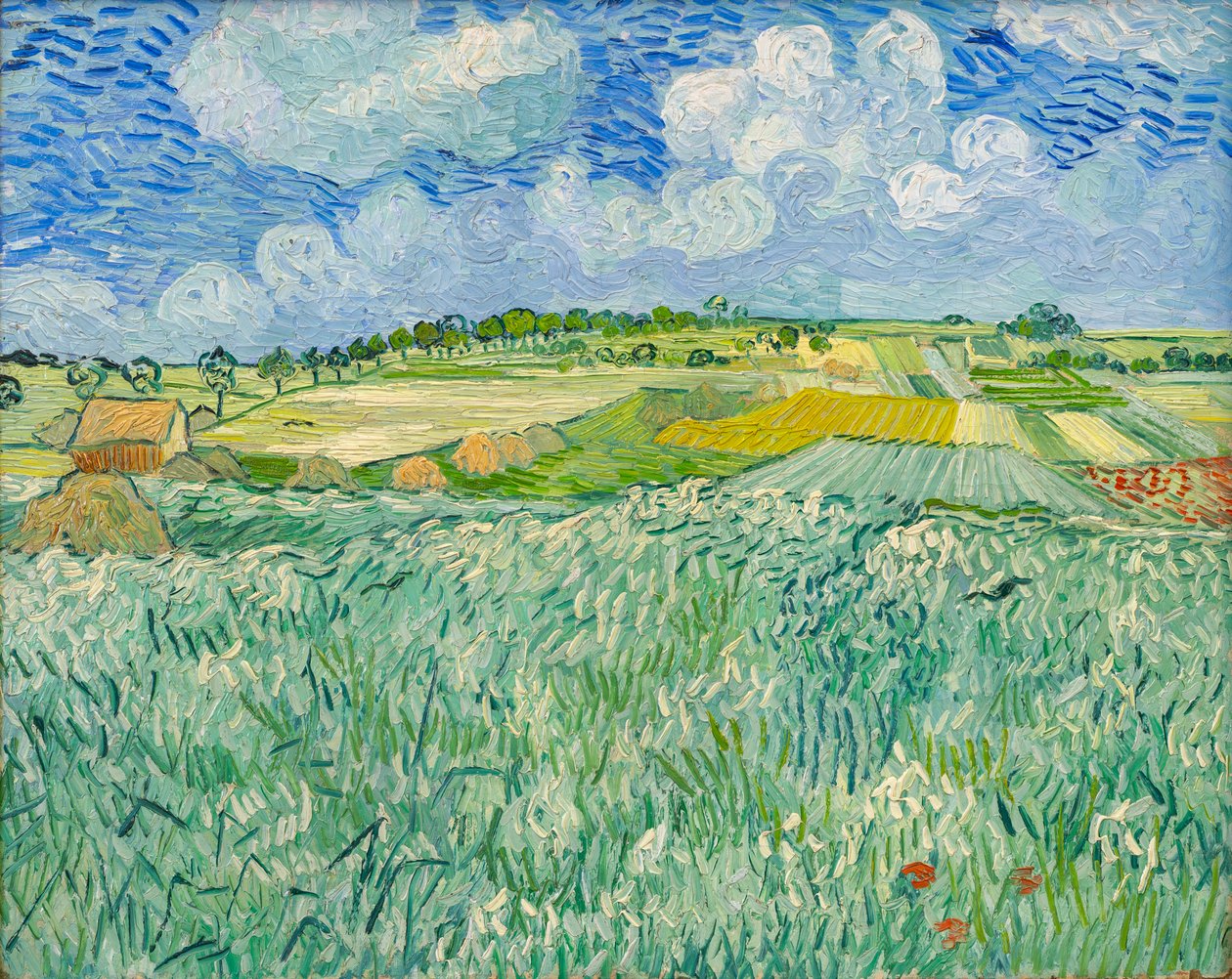 Plain near Auvers by Vincent van Gogh