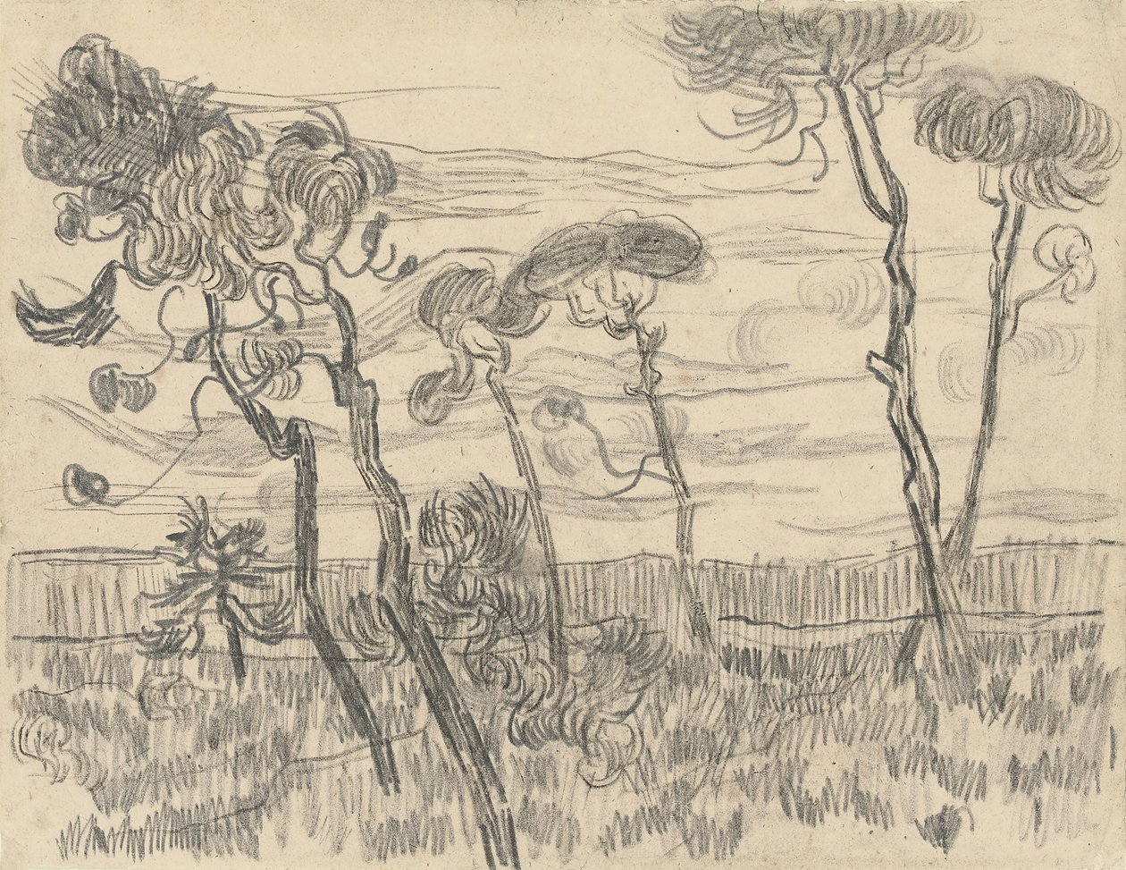 Six Pines Near the Enclosure Wall by Vincent van Gogh