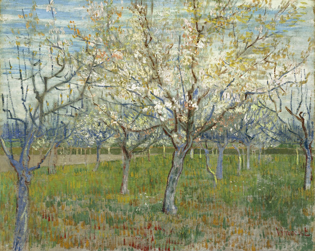 The Pink Orchard, also Orchard with Blooming Apricot Trees by Vincent van Gogh