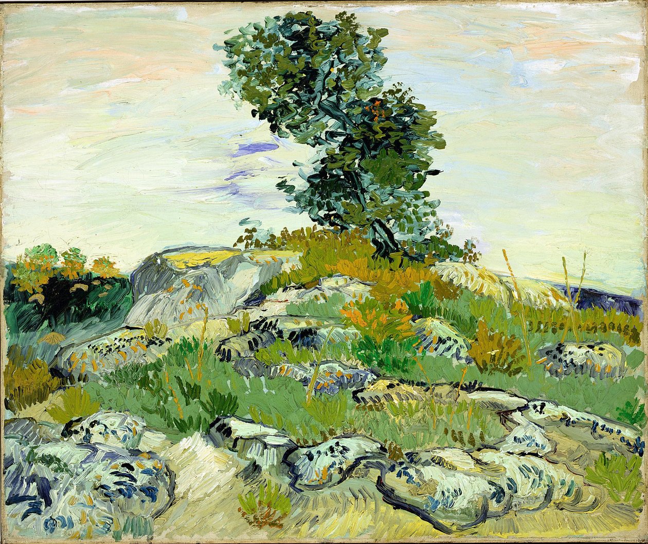 The Rocks by Vincent van Gogh