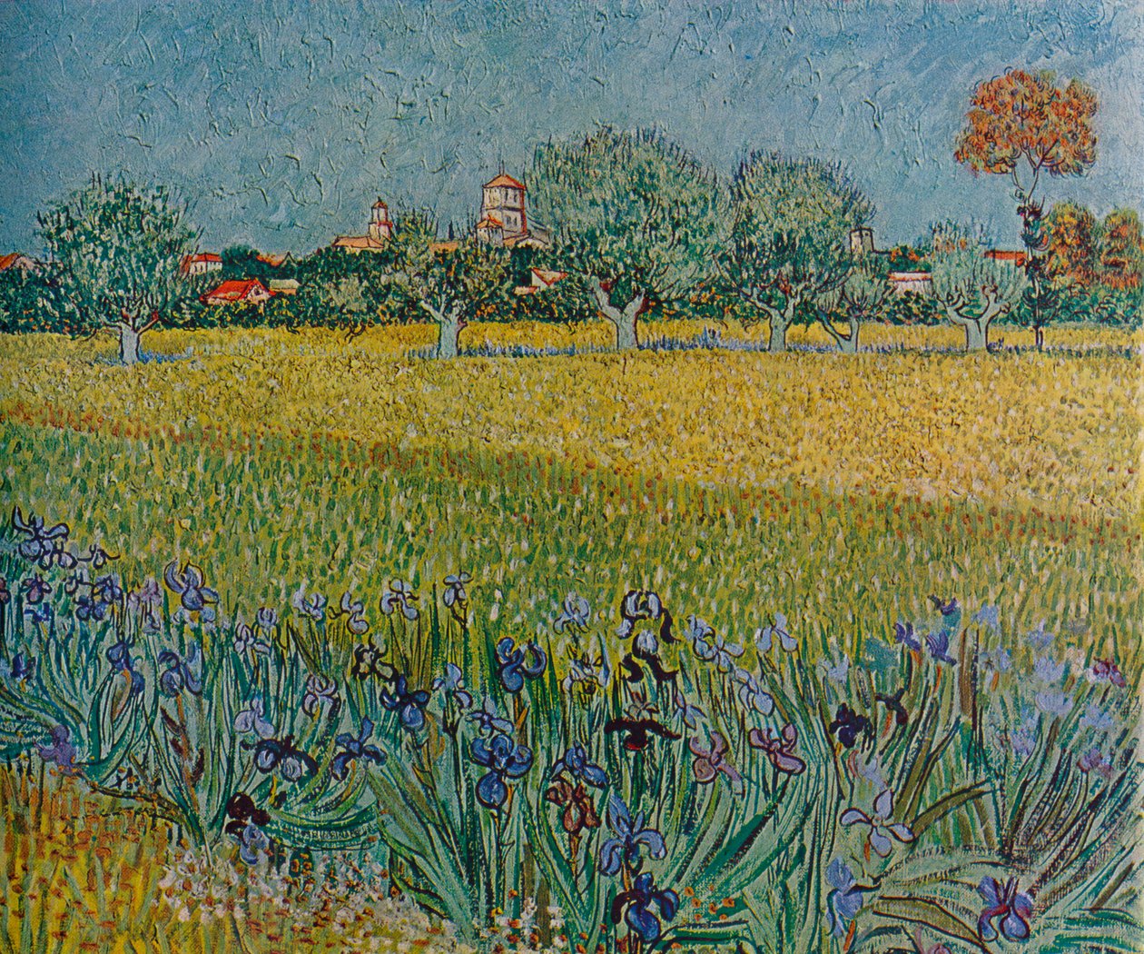 View of Ales with Irises in Bloom by Vincent van Gogh
