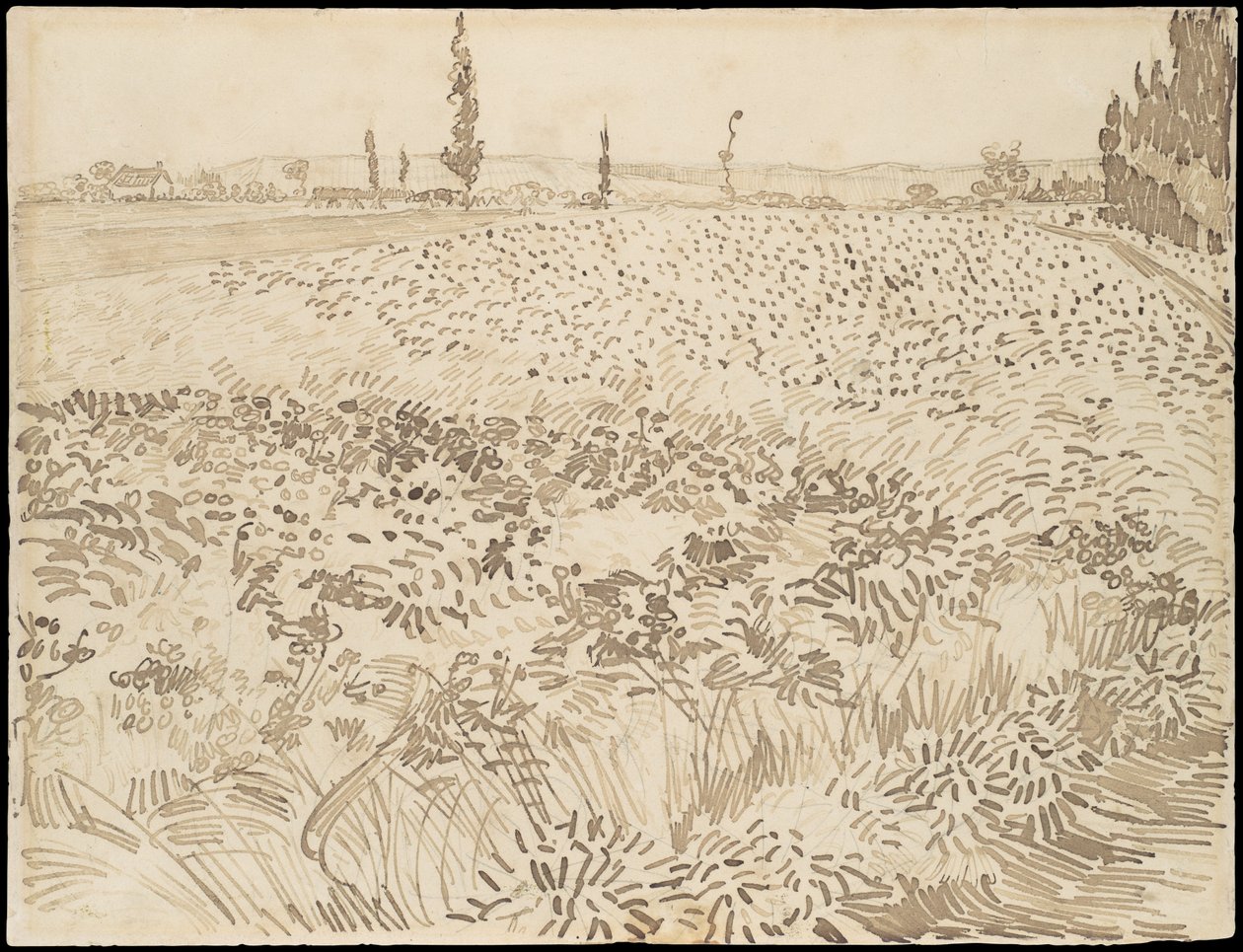 Wheat Field by Vincent van Gogh