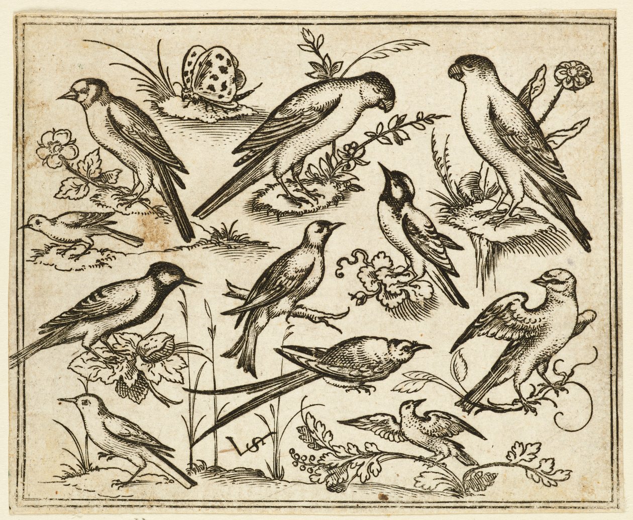 Eleven Birds Sitting on Patches of Flowering Foliage and Small Branches by Virgil Solis