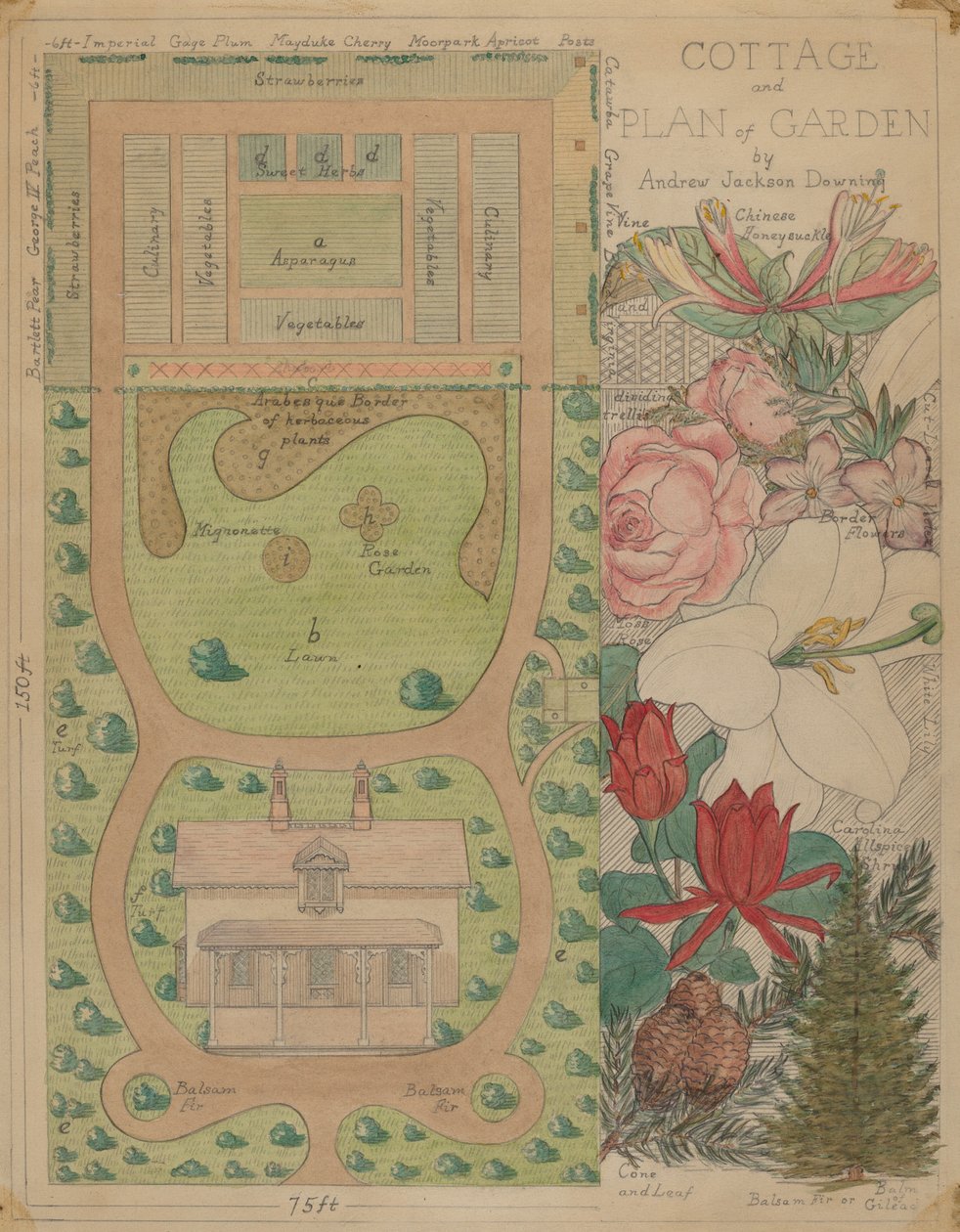 Ground Plan for Cottage by Virginia Richards