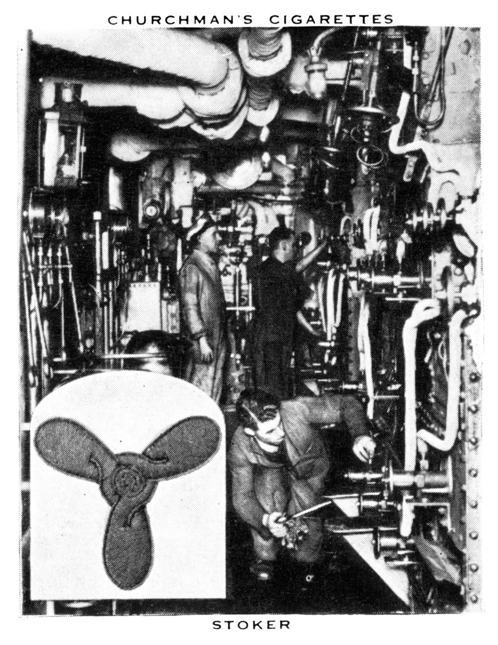 Stoker, 1937 by WA and AC Churchman