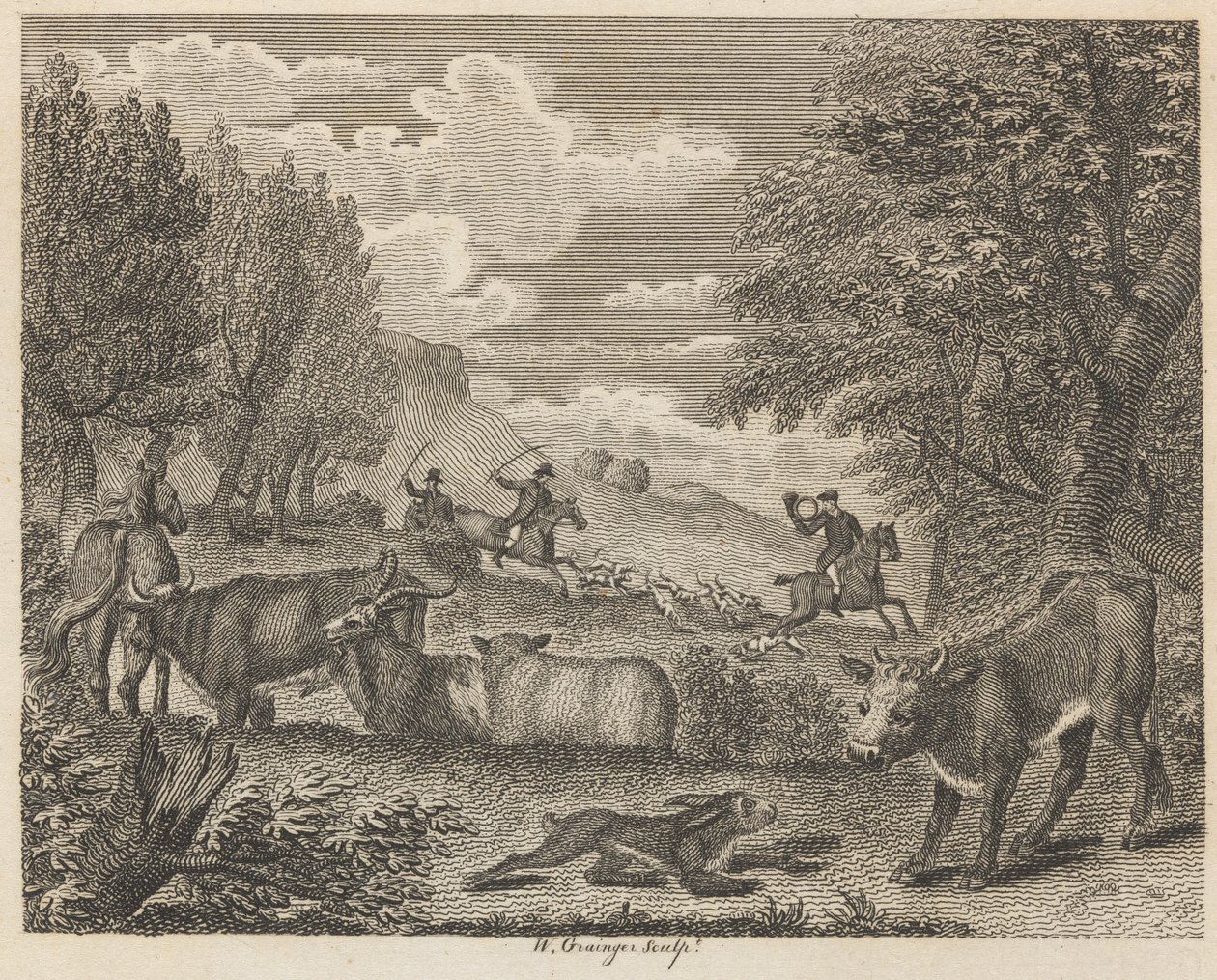 The Hare and Many Friends by W. Grainger