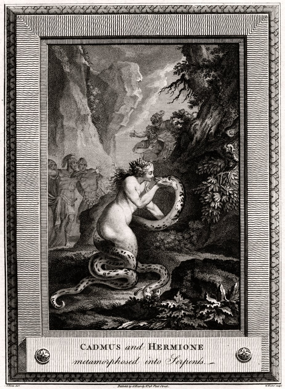 Cadmus and Hermione, Metamorphosed into Serpents by W. Walker
