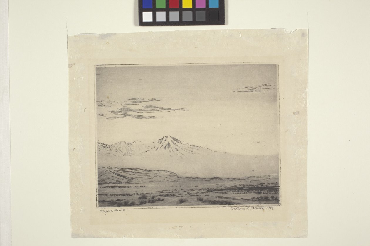 Mojave Desert by Wallace Leroy DeWolf