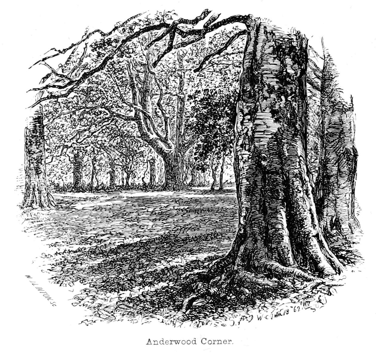 Anderwood Corner by Walter Crane