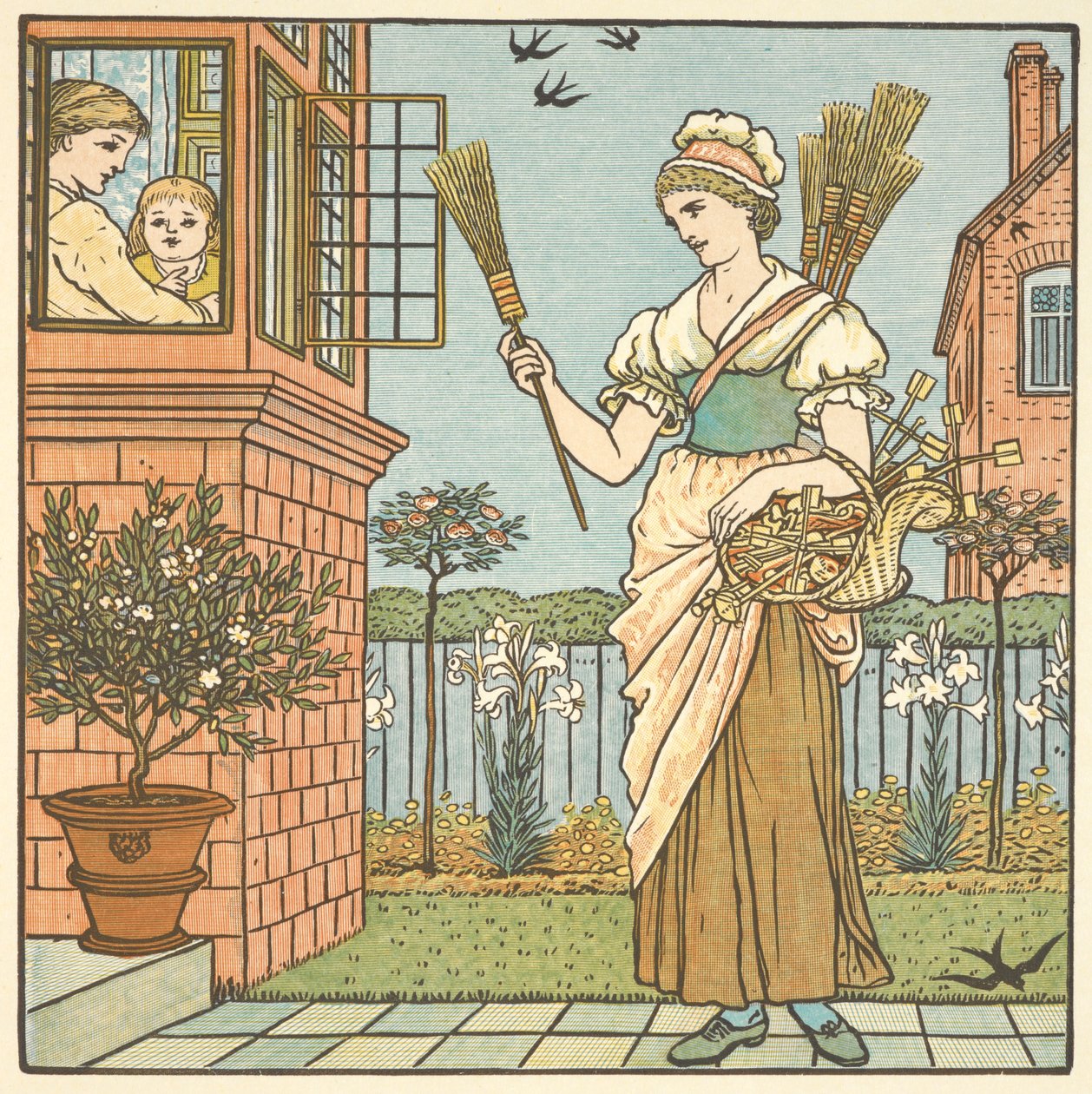 Colour illustration for 