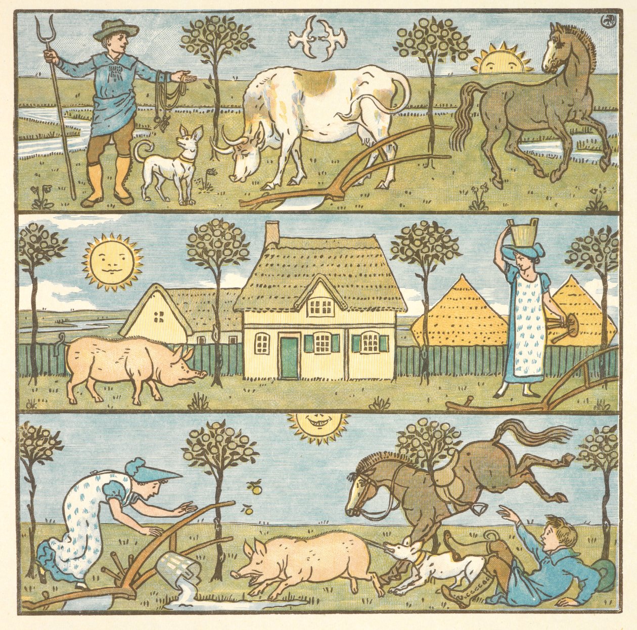 Colour illustration for 