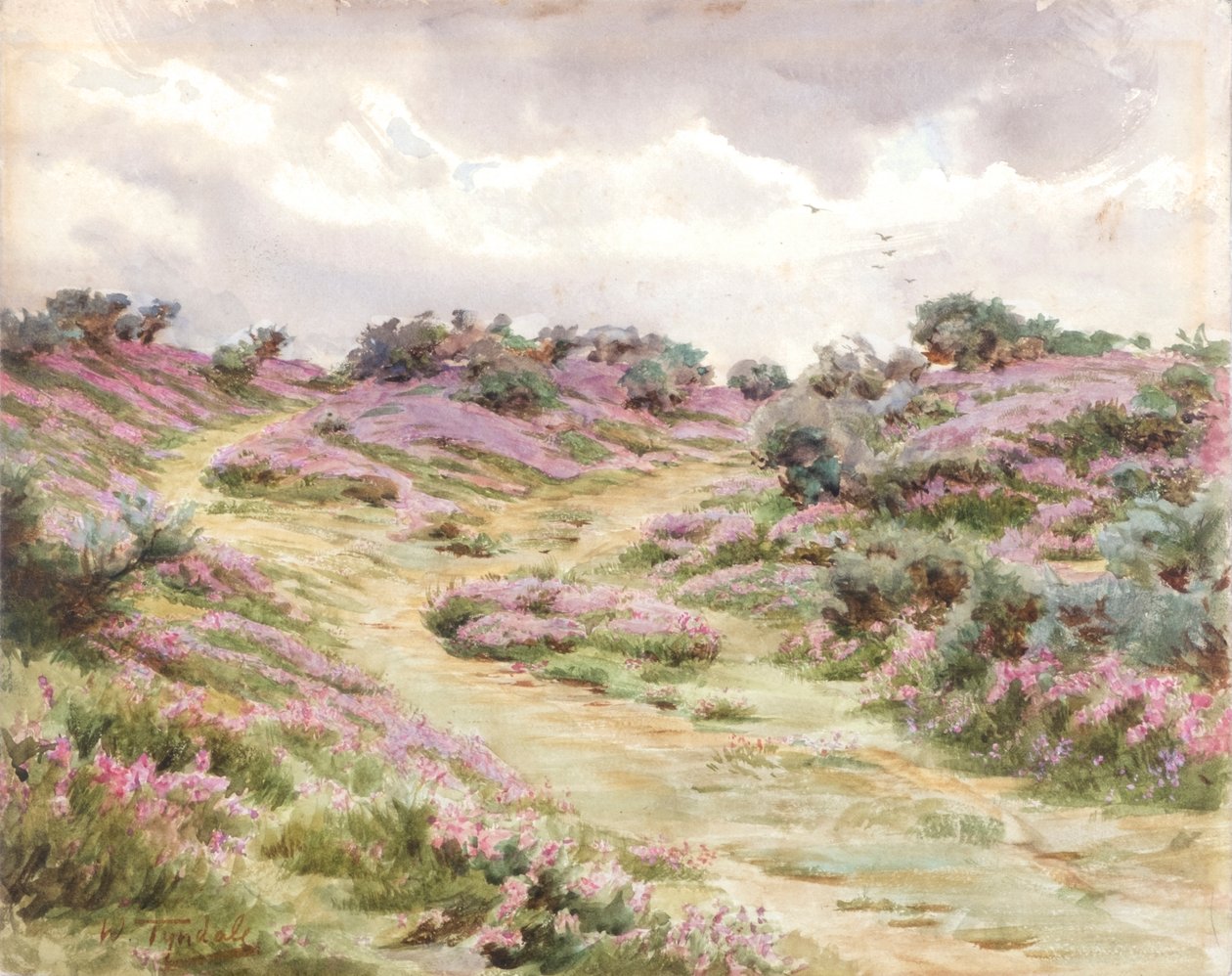 Bell Heather on Setley Plain by Walter Frederick Roofe Tyndale
