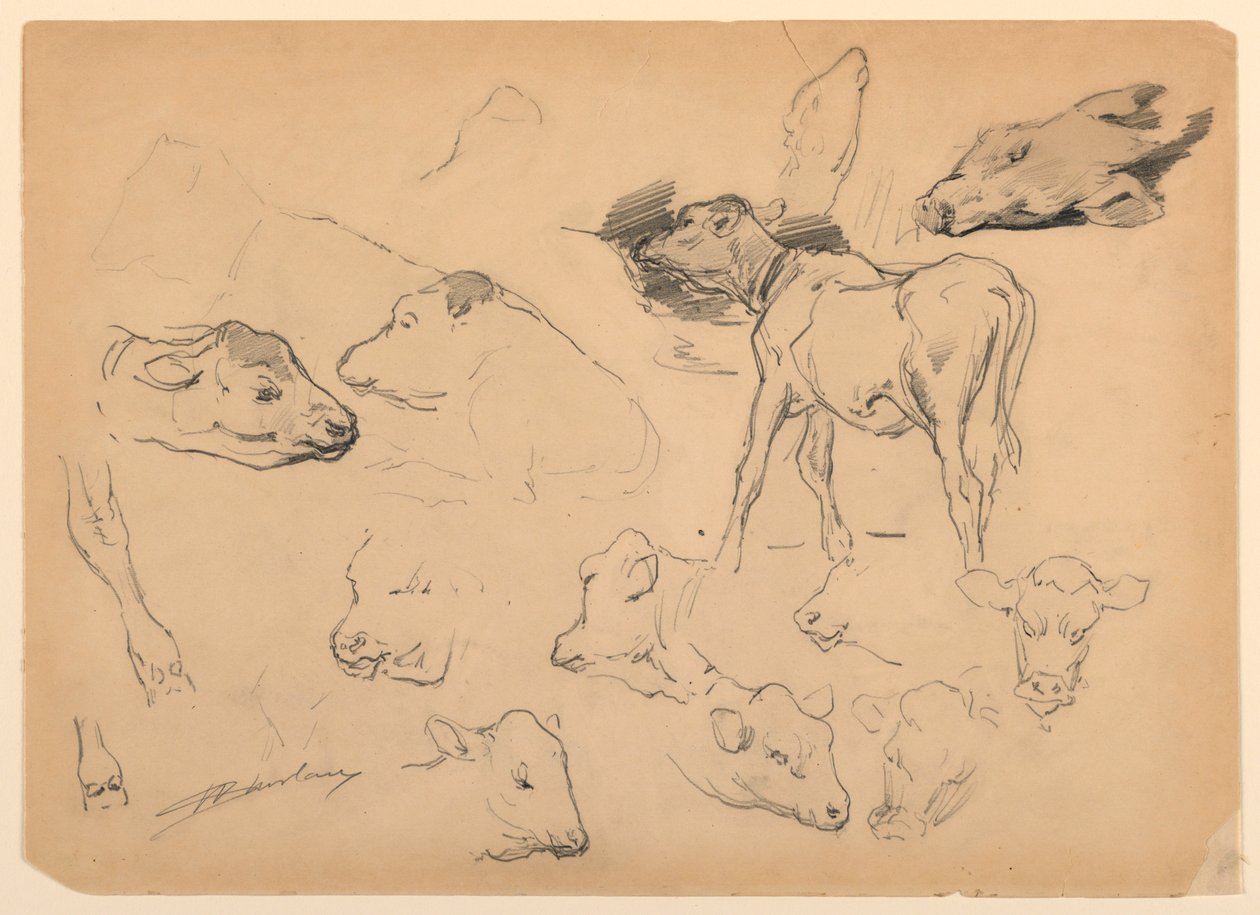 Studies of Cattle, Heads of Sheep and a Hog by Walter Shirlaw