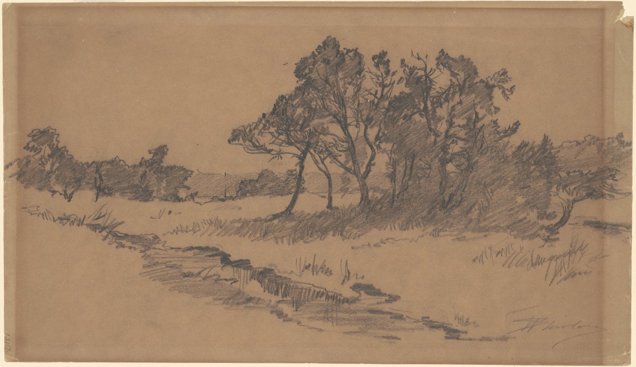 Trees in a Field by Walter Shirlaw